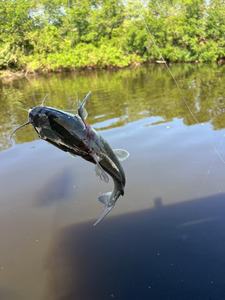 Reeling in Florida’s best! 